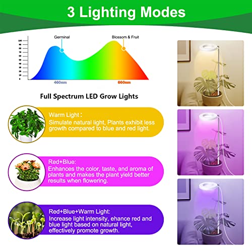 TheLAShop 40w Full Spectrum Grow Light for Indoor Plants with Timer Cl –