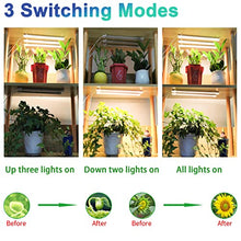 Load image into Gallery viewer, Five Strips Growing lamp, Full Spectrum Grow Light Strips for Indoor Plants with Auto ON/Off Timer, 10 Dimmable Levels &amp; 3 Switch Modes, Led Grow Light for Hydroponics Succulent (Five Strips)
