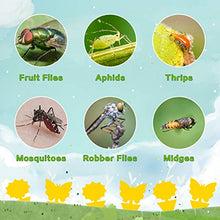 Load image into Gallery viewer, Mosqueda Fruit Fly Traps Fungus Gnat Traps Yellow Sticky Bug Traps 36 Pack Non-Toxic and Odorless for Indoor Outdoor Use Protect The Plant
