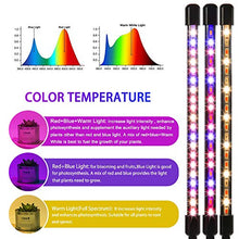 Load image into Gallery viewer, LEOTER Grow Light for Indoor Plants - Upgraded Version 80 LED Lamps with Full Spectrum &amp; Red Blue Spectrum, 3/9/12H Timer, 10 Dimmable Level, Adjustable Gooseneck,3 Switch Modes
