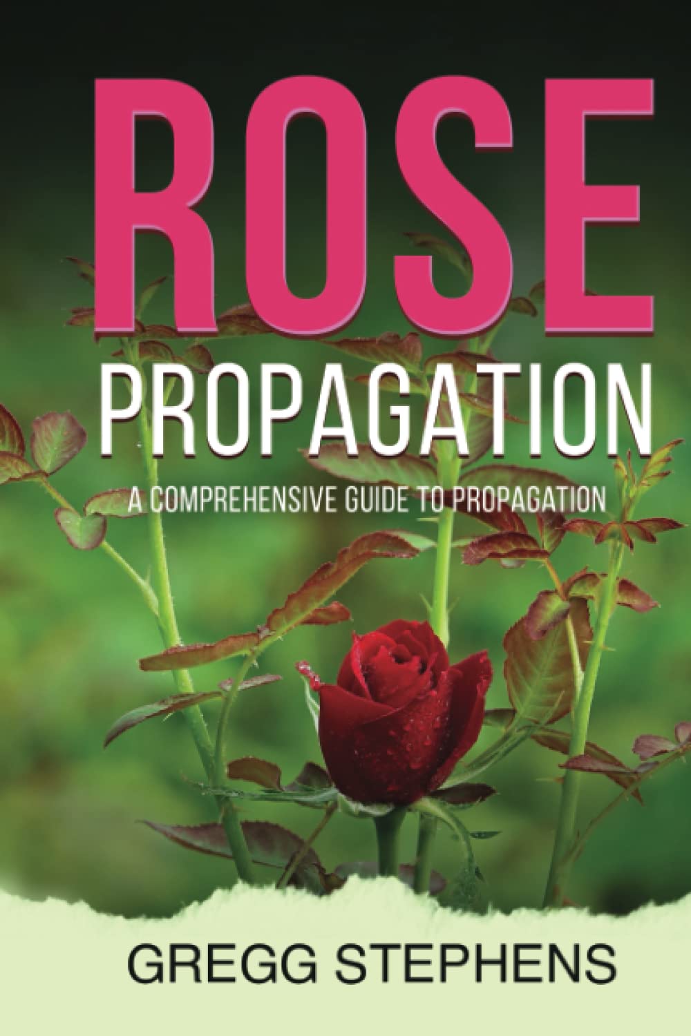 ROSE PROPAGATION: “A Comprehensive Guide to Propagation